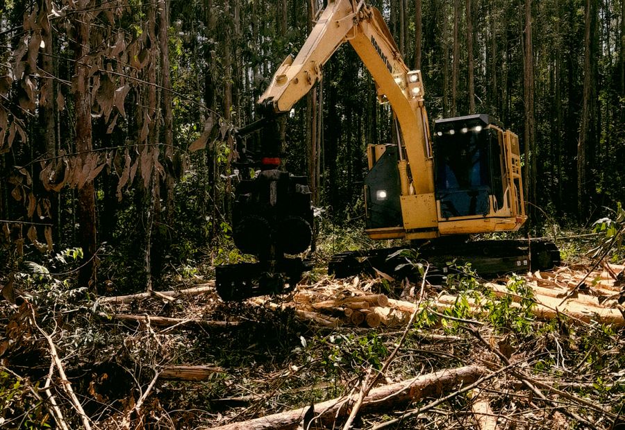 Cleared acreage in Sebastian County with mulch chips left on the ground and no debris pile